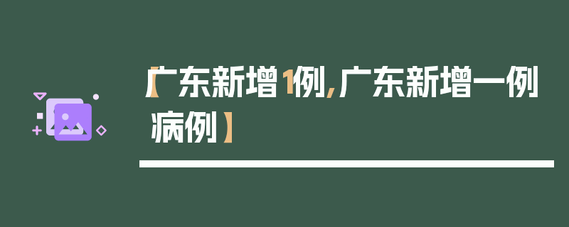 【广东新增1例,广东新增一例病例】