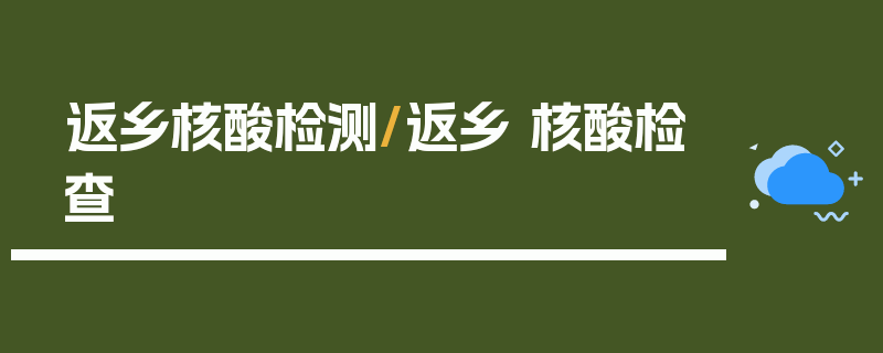 返乡核酸检测/返乡 核酸检查