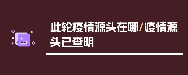 此轮疫情源头在哪/疫情源头已查明