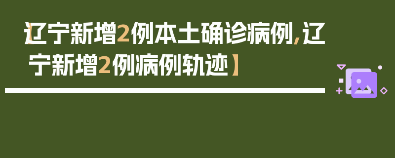 【辽宁新增2例本土确诊病例,辽宁新增2例病例轨迹】